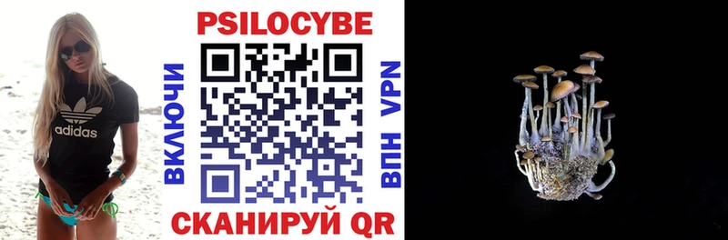 Купить  Губкинский  Псилоцибиновые грибы MAGIC MUSHROOMS 